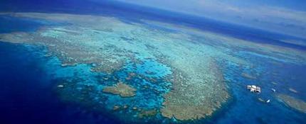 Great Barrier Reef1.jpg